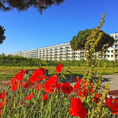 Prora - Wg 202 Mit Meerblick Und Sauna Lejlighed Binz