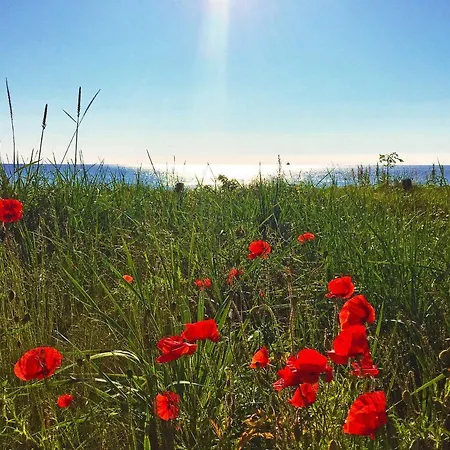 Lejlighed Prora - Wg 202 Mit Meerblick Und Sauna *